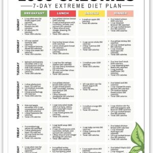 Régime 1000 calories : guide de repas pour perdre du poids rapidement et sainement