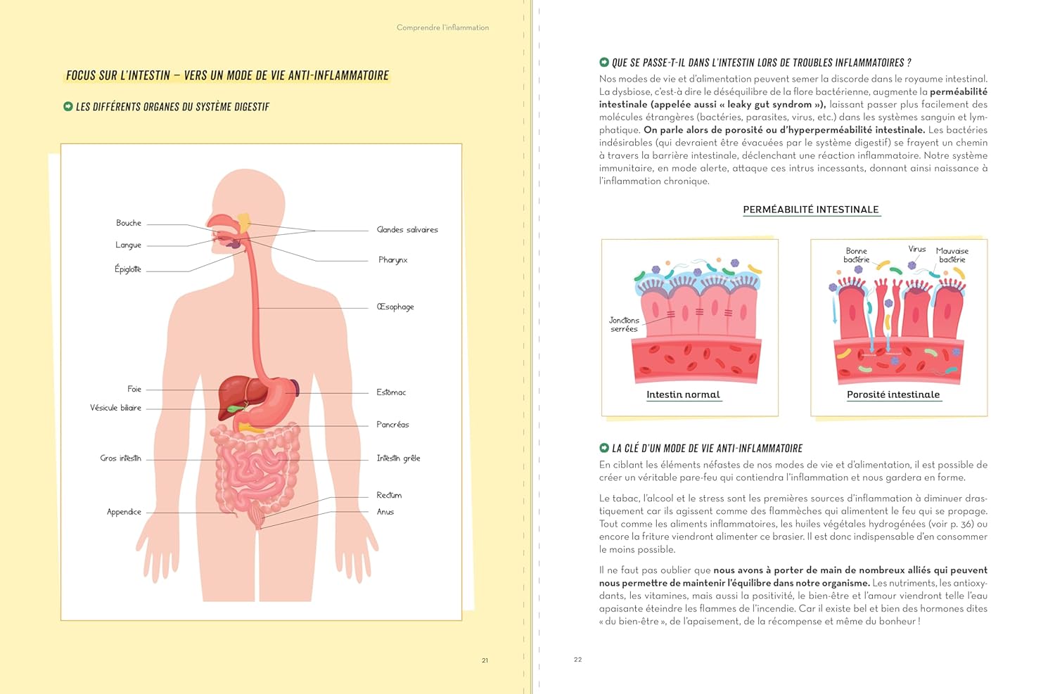 Recettes anti-inflammatoires pour une meilleure santé : guide pratique pour retrouver l'équilibre – Image 2