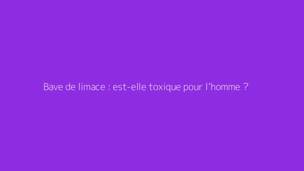 Bave de limace : est-elle toxique pour l’homme ?