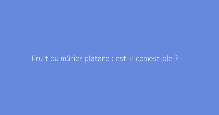 Fruit du mûrier platane : est-il comestible ?
