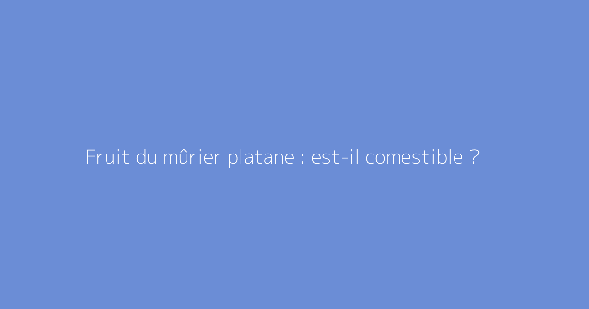 Fruit du mûrier platane : est-il comestible ?