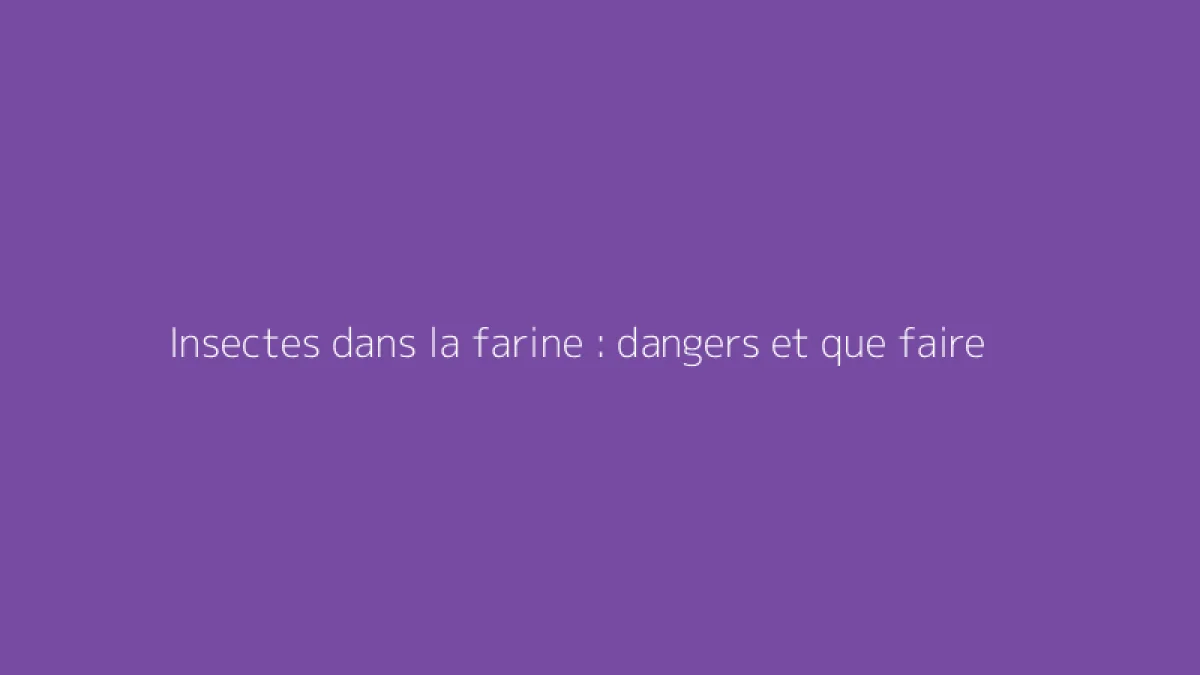 Insectes dans la farine : dangers et que faire