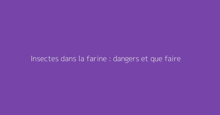 Insectes dans la farine : dangers et que faire