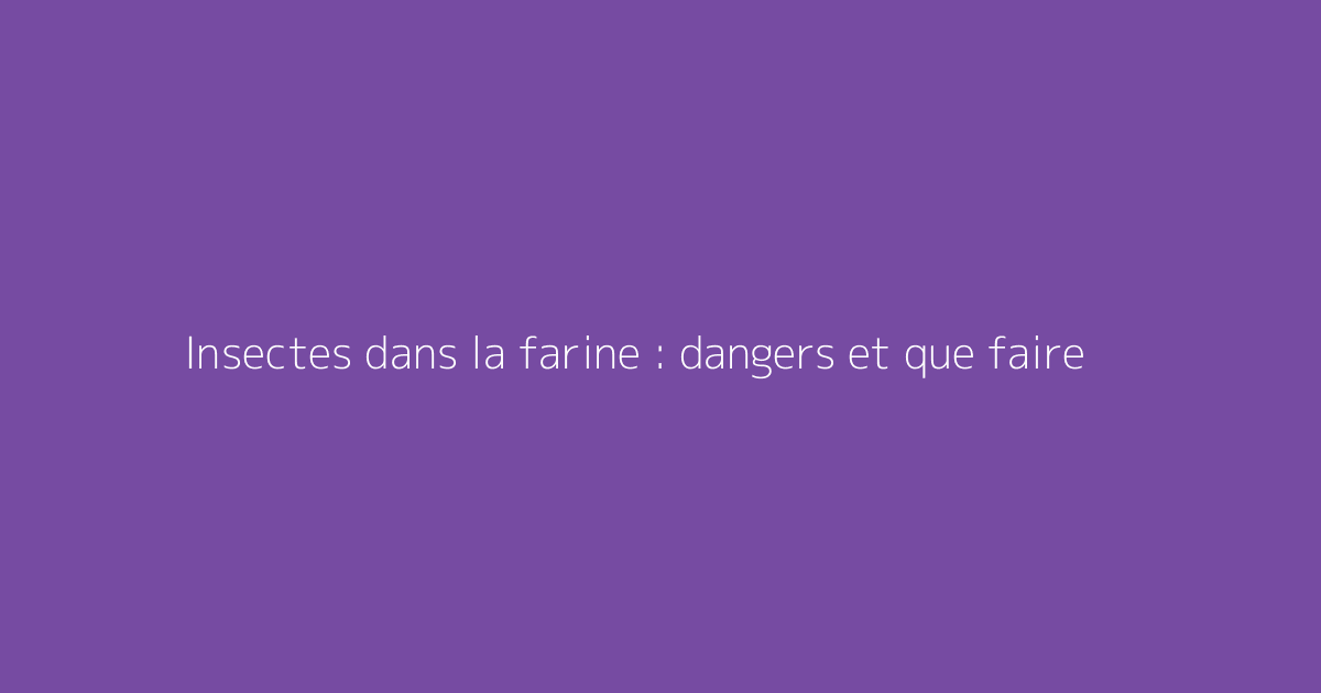 Insectes dans la farine : dangers et que faire